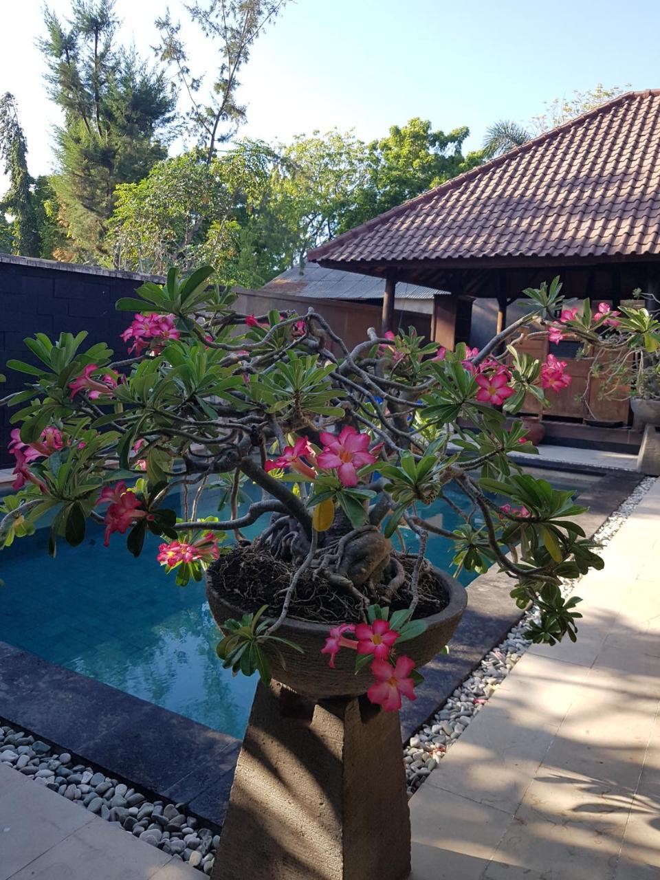 Gili Exotic Villa Gili Trawangan Extérieur photo